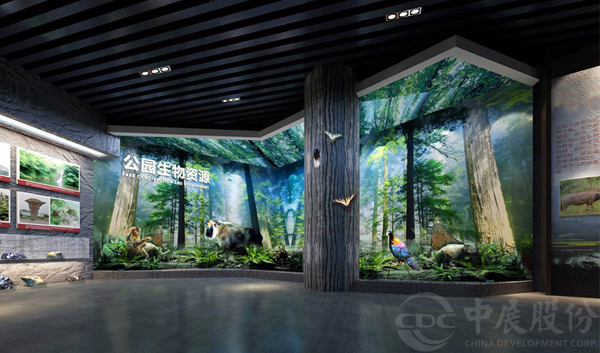 如何设计博物馆更有特色？掌握三点博物馆设计更好！