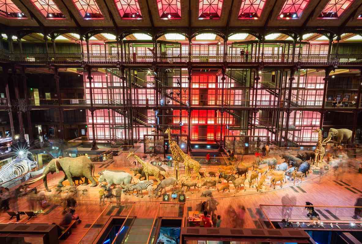 校史馆设计施工