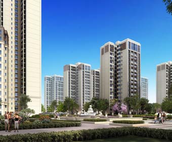 喜讯！中展中标中粮装修工程项目啦！